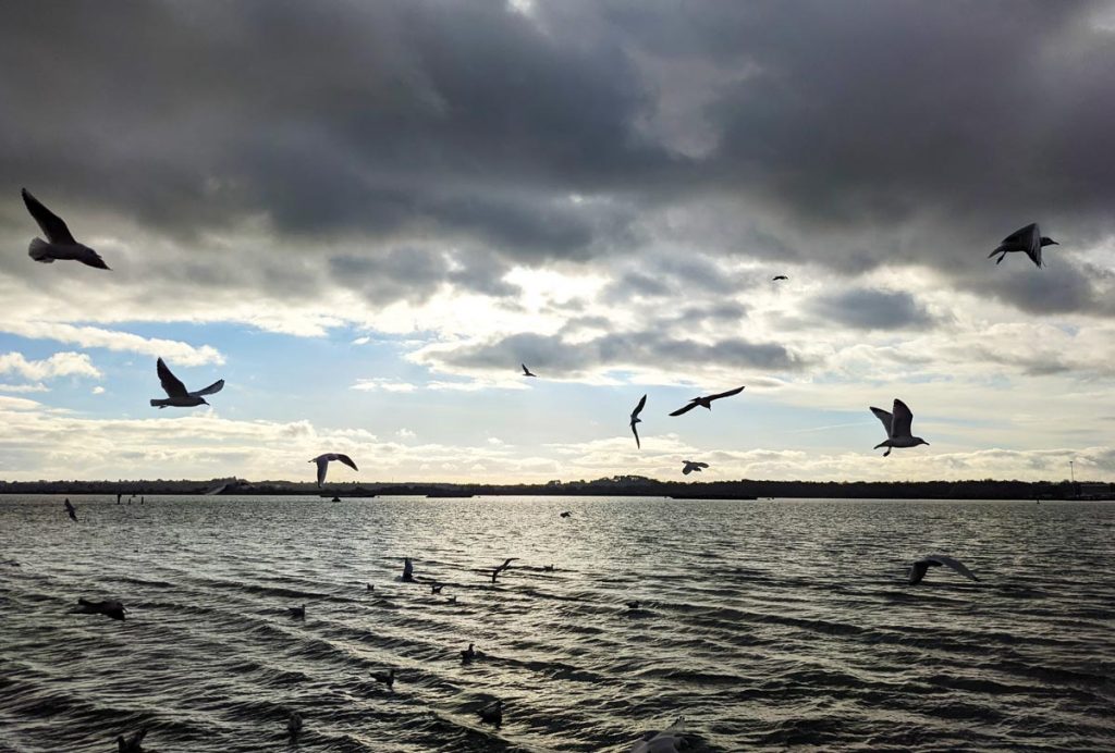 Mayflower Park, Southampton