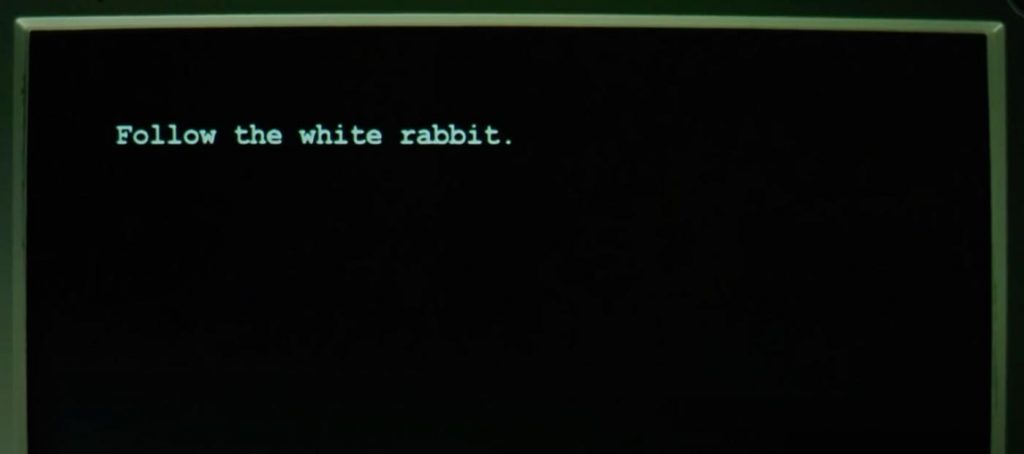 Follow the white rabbit