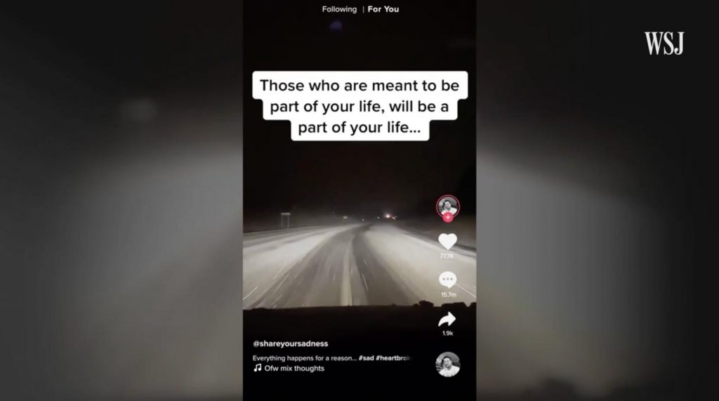 TikTok Video Experiment