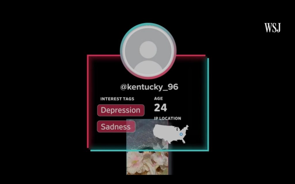TikTok Experiment