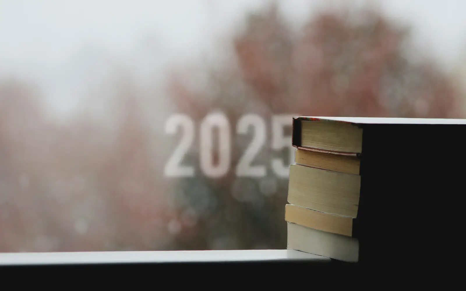 2025 Year in Review Books